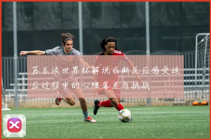 苏东谈世界杯解说戒断反应感受适应过程中的心理落差与挑战